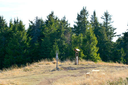 Wooden signpost on the top of a hill in the forestの写真素材