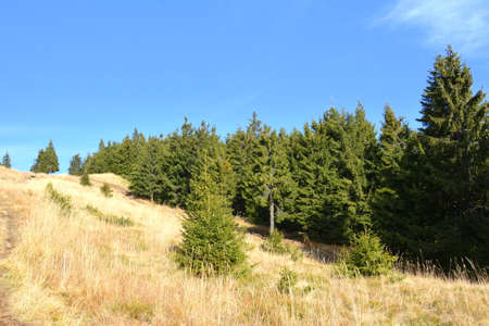 Landscape of Vitosha Mountain, Sofia City Region, Bulgariaの写真素材