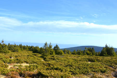 Autumn mountain landscape with coniferous forest and blue sky.の写真素材