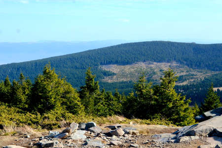 View from the top of the mountain to the valley and the forestの写真素材