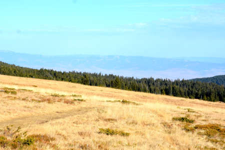 Carpathian mountains in Ukraine, Carpathian Mountains.の写真素材