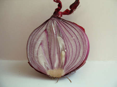 This is section of a large onionの写真素材