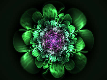 Abstract flower compute generated image on black backgroundの写真素材