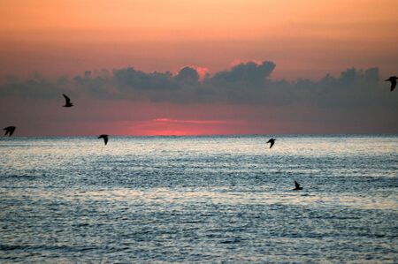 sea sunrise of Black sea, Bulgariaの写真素材