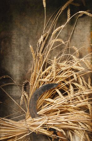 harvest background. healthy cereal. bread ingredients still lifeの写真素材