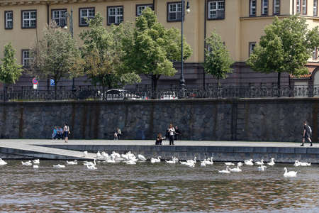 Tourists feeding geese on river Vltava, Pragueのeditorial素材