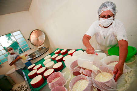 Serra da Canastra, Minas Gerais, Brazil - may 01, 2010 - family factory of the traditional and artisanal cheese from the serra da canastra, countryside of Minas Geraes, Brazilのeditorial素材