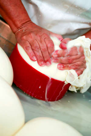 Serra da Canastra, Minas Gerais, Brazil - may 01, 2010 - family factory of the traditional and artisanal cheese from the serra da canastra, countryside of Minas Geraes, Brazilのeditorial素材
