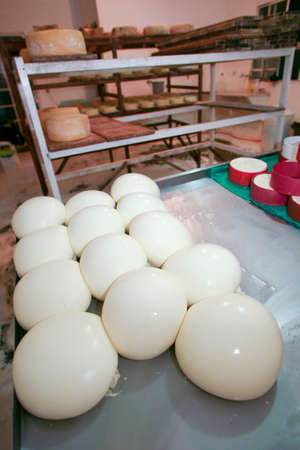 Serra da Canastra, Minas Gerais, Brazil - may 01, 2010 - family factory of the traditional and...