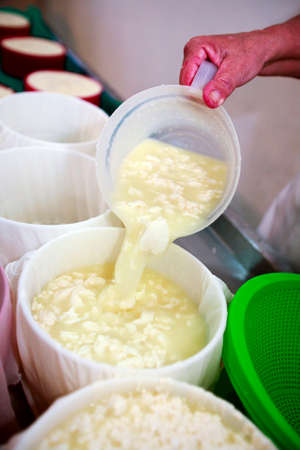 Serra da Canastra, Minas Gerais, Brazil - may 01, 2010 - family factory of the traditional and artisanal cheese from the serra da canastra, countryside of Minas Geraes, Brazilのeditorial素材