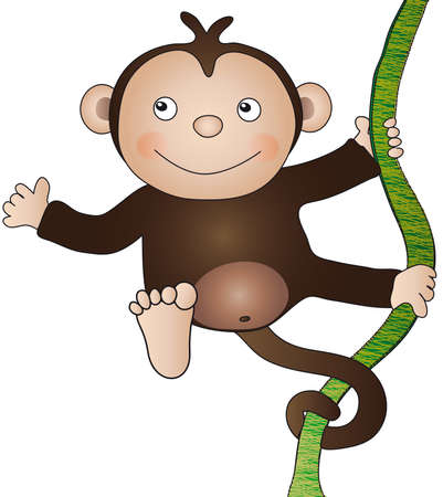 monkey