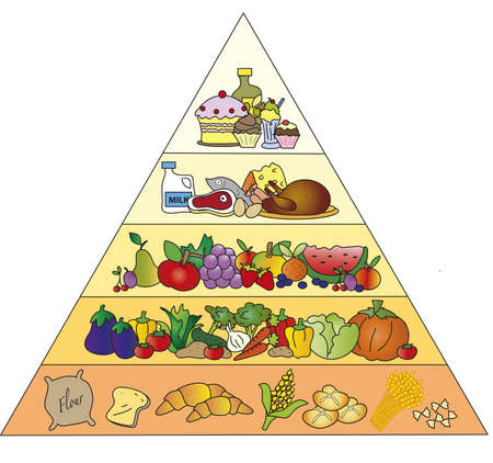 food pyramid の写真素材
