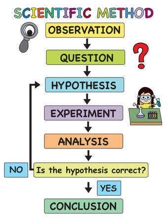 illustration of scientific method for schoolの写真素材