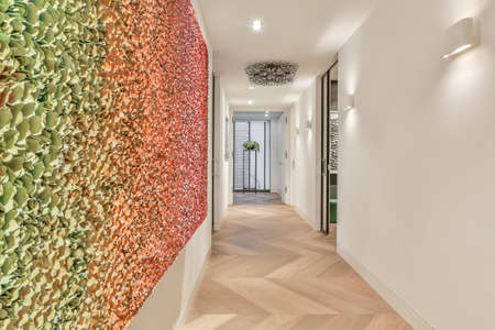 A long empty corridor, designed in luxury style. Beautiful hallway with multicolored wallsの写真素材