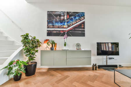 Luxury room with locker pots of plant tv and picture on the wallの写真素材