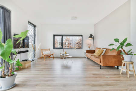 Luxury and beautiful living room interior design