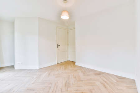 Interior of empty modern apartment with geometric design with entrance door and white walls and...