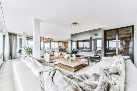 Elegant and spacious living room with beautiful furniture
