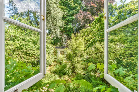 Opened frames of window into house garden with lush trees growing in bright summer sunlightの写真素材