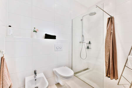 Modern interior of washroom with glass shower cabin and white hung wall toilet with bidet