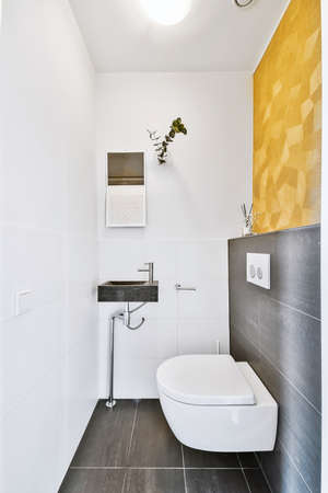 Interior of small clean washroom in miniature style