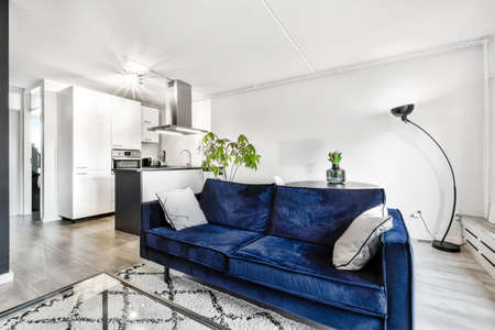 Luxury and beautiful living room interior designの写真素材