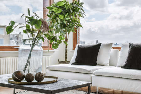 Bright living room in a modern luxury houseの写真素材