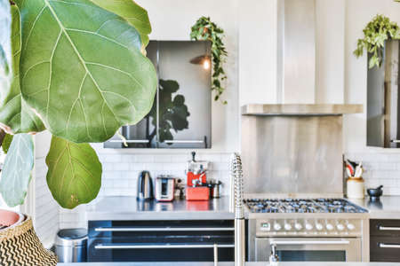 Interior of a beautiful kitchen of an elite houseの写真素材
