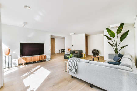 Modern furniture in a bright living room
