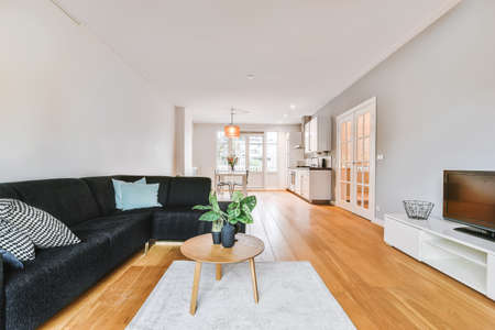 Modern furniture in a bright living room
