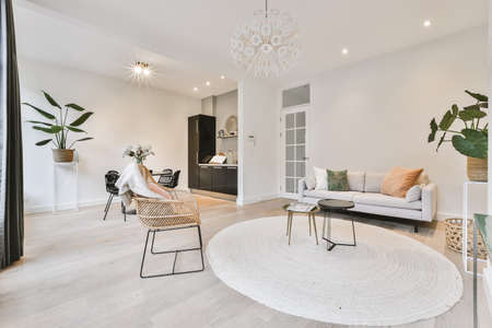 Modern furniture in a bright living room