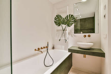 Beautiful bathroom with a big bathtub and white walls