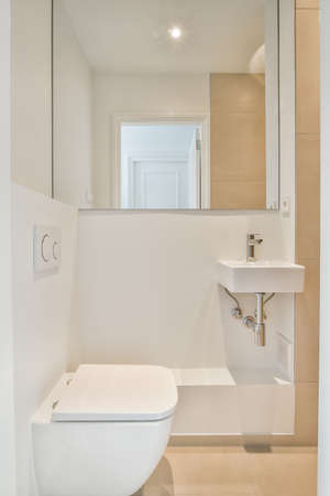 Interior of small clean washroom in miniature style