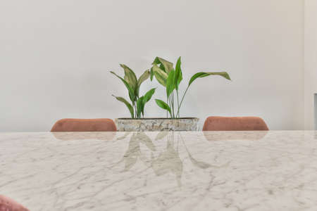 Stylish dining room with decorative table and chairsの写真素材