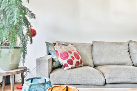 Elegant and spacious living room with beautiful furnitureの写真素材