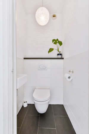 Interior of small clean restroom in miniature style
