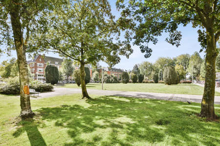 Beautiful garden with trees in front of building