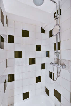 Modern shower stall in a bright bathroom
