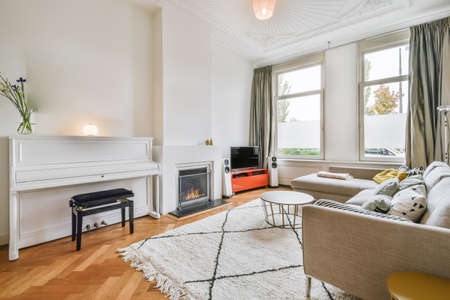 Comfortable sofa with cushions placed against light wall with decorations in modern living room