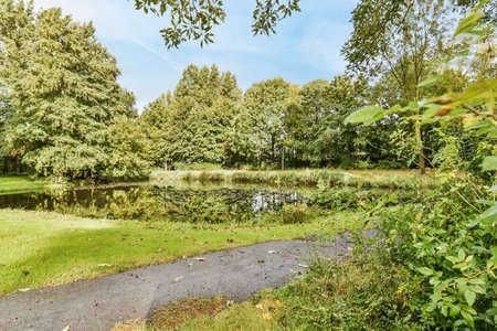 Mind-blowing park with many trees and stunning viewsの写真素材