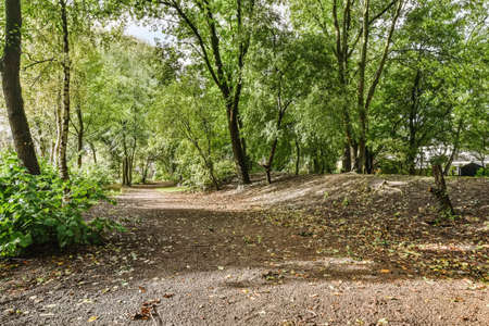 Mind-blowing park with many trees and stunning viewsの写真素材