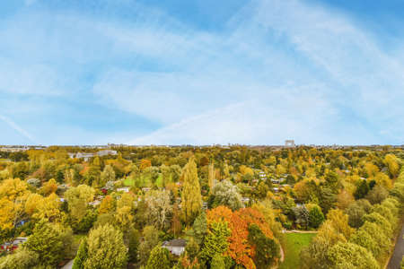 Beautiful landscape from above with many treesの写真素材