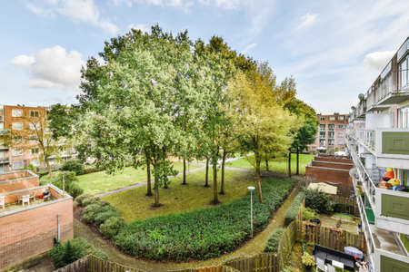Enchanting view of the park with trees and lush lawn