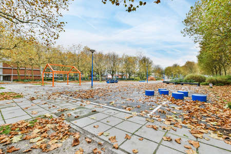 Amazing park with trees and beautifully laid tilesの写真素材
