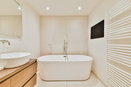 Luxurious bathroom with a large stylish bathtub and a TV opposite