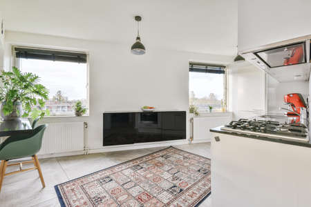 Interior of the light kitchen with modern appliances in a modern flat at daytime