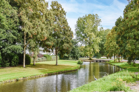 A beautiful view of the canal surrounded on both sides by a fresh lawn and treesの写真素材