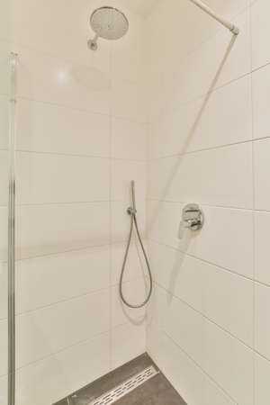 Modern shower stall in a bright bathroom