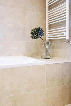 Lovely decor next to the bathtub and radiator in the backgroundの写真素材