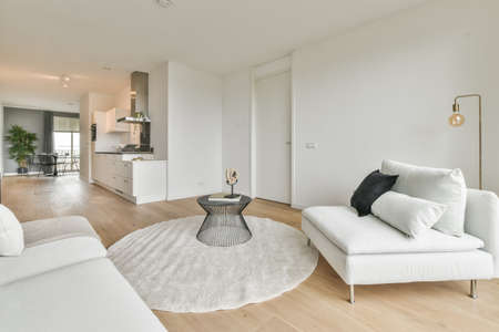 Stylish living room with white sofa, carpet and black coffee table on itの写真素材